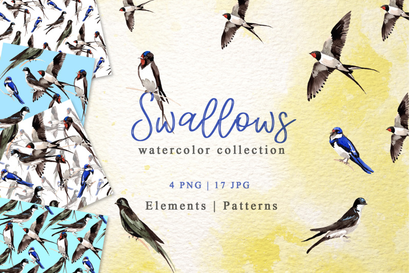 swallows-watercolor-png