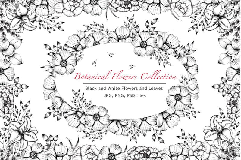 black-and-white-botanical-collection