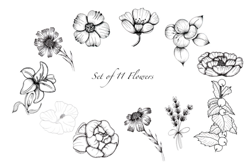 black-and-white-botanical-collection