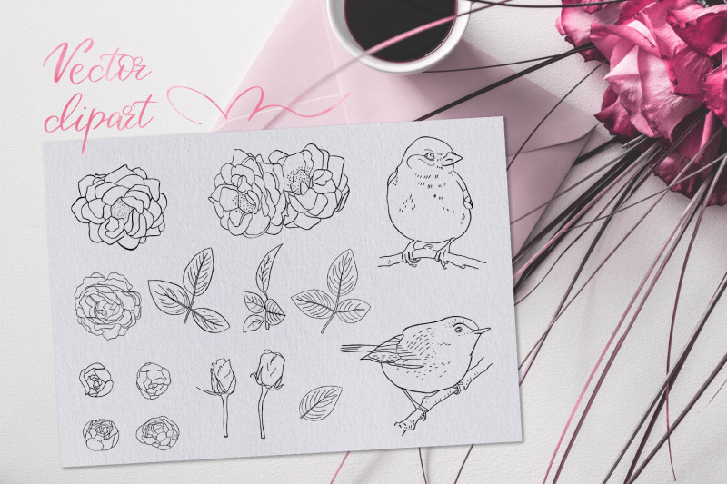 Birdy Roses Script Font Swashes By Zzorna Art Thehungryjpeg Com