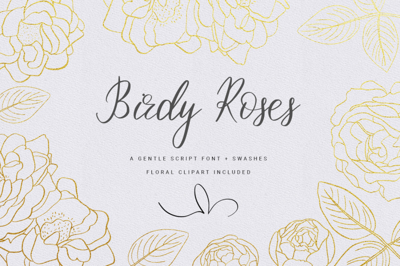 birdy-roses-script-font-swashes