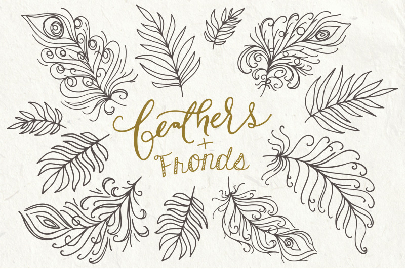 feathers-amp-fronds-clip-art