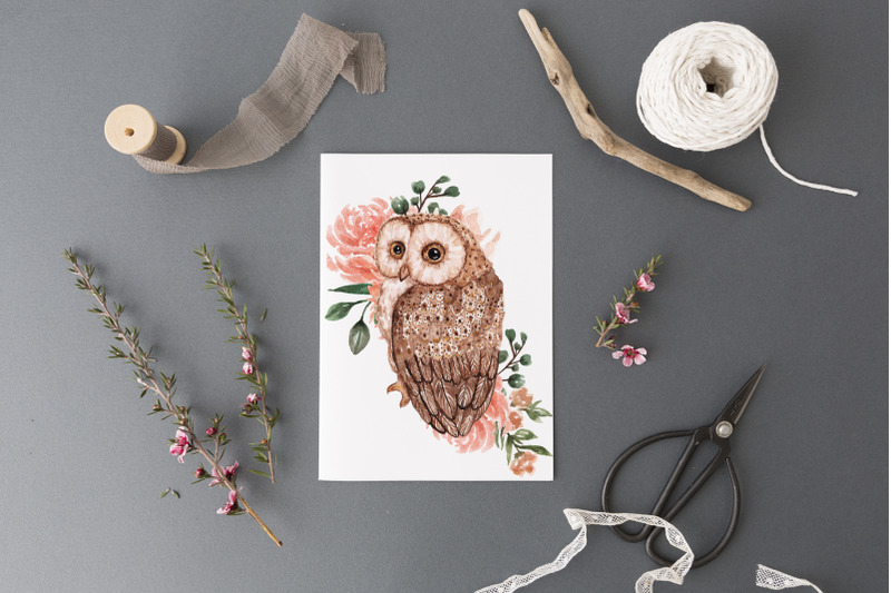 spring-owls-watercolor-collection