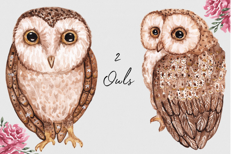 spring-owls-watercolor-collection