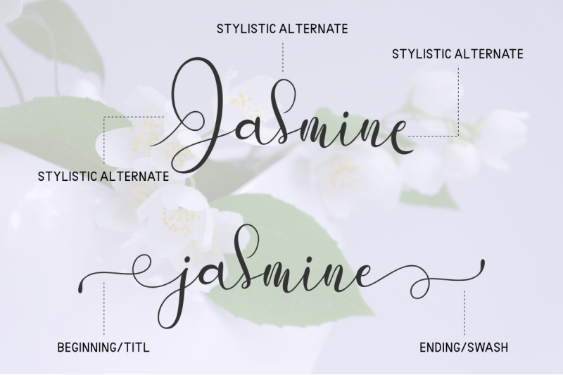 putih-jasmine-font-duo