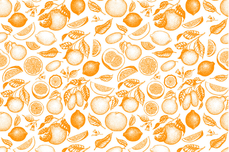 citrus-vector-collection