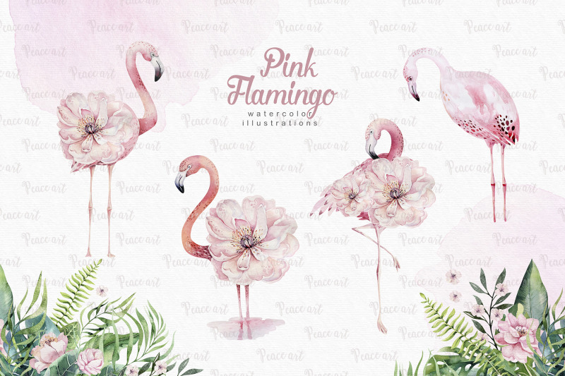 tropical-flamingo-collection