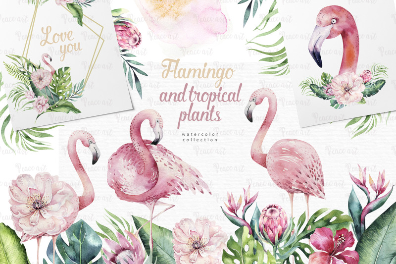 tropical-flamingo-collection