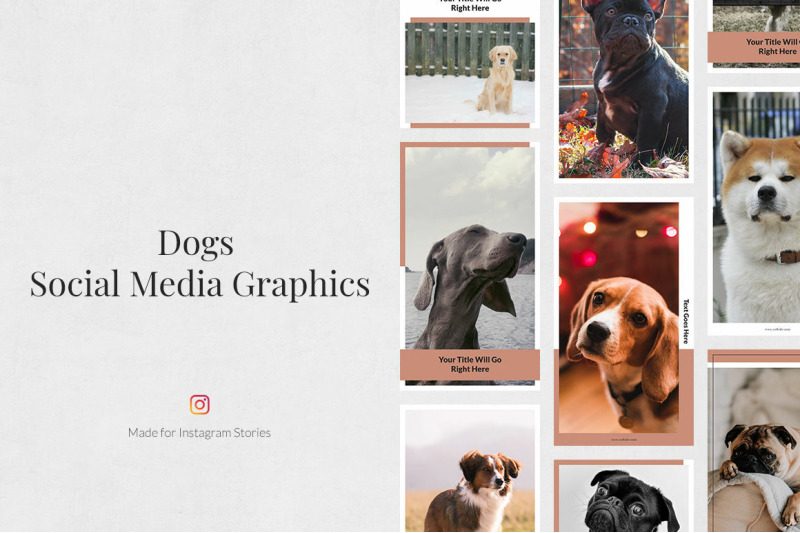dogs-instagram-stories