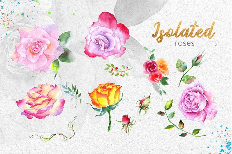 pink-roses-collection-watercolor-png