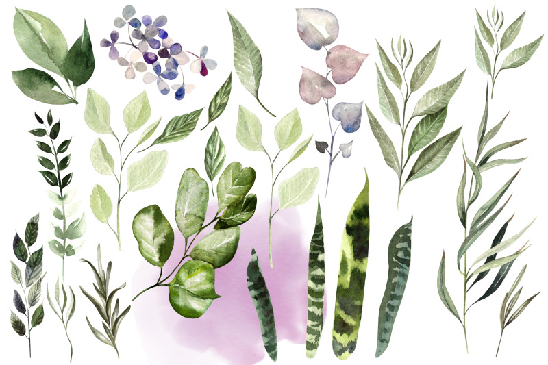 watercolor-eucalyptus-amp-leaves