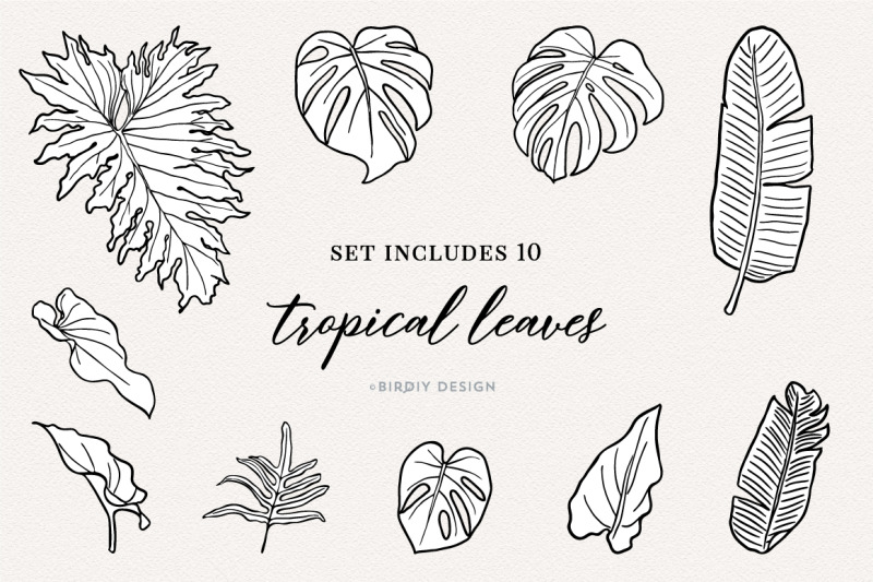 floral-botanical-illustrations