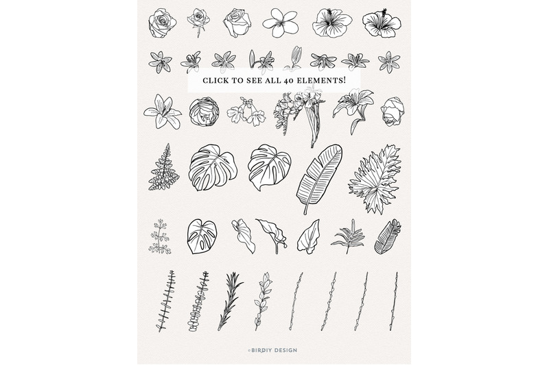 floral-botanical-illustrations