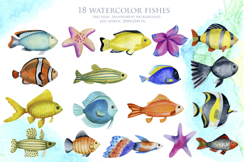sea-life-watercolor-clip-art