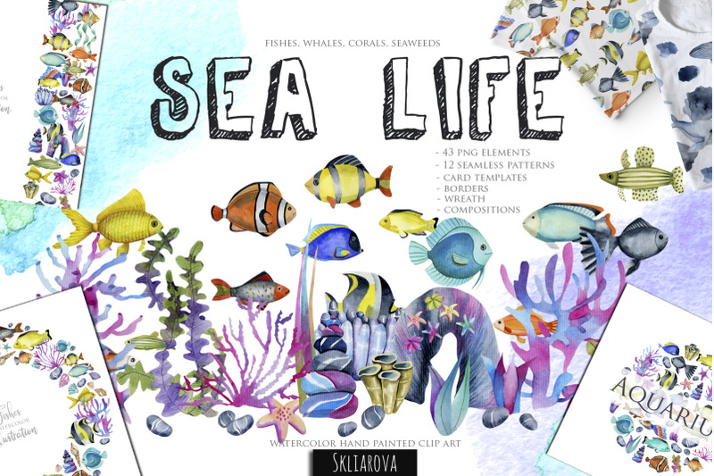 sea-life-watercolor-clip-art