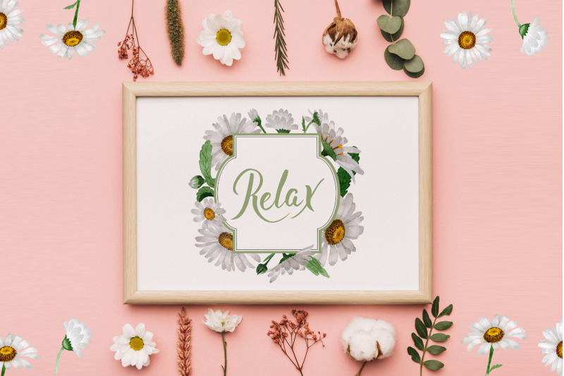 chamomile-watercolor-png