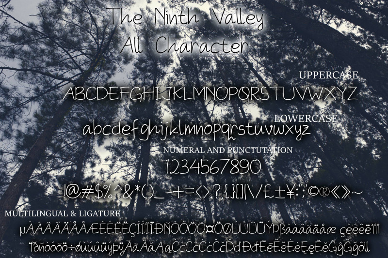 the-ninth-valley