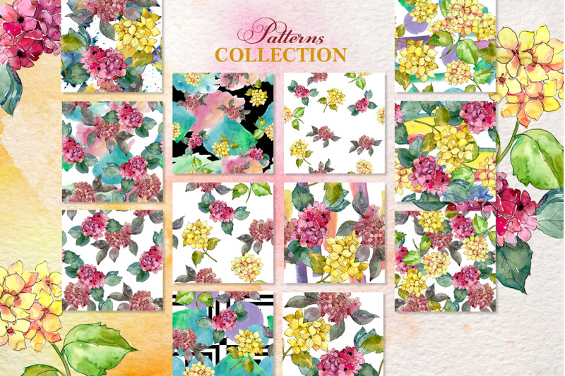 hydrangeas-yellow-pink-watercolor-png