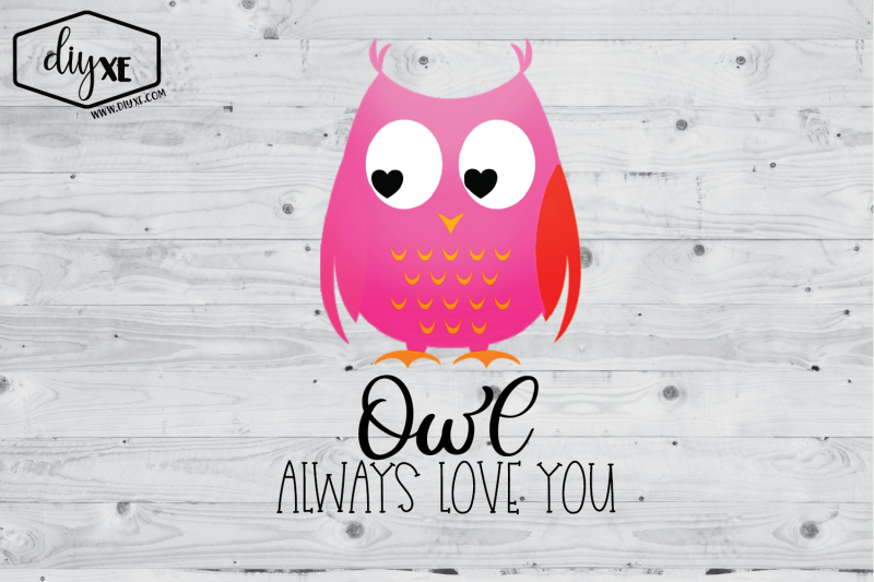 owl-always-love-you