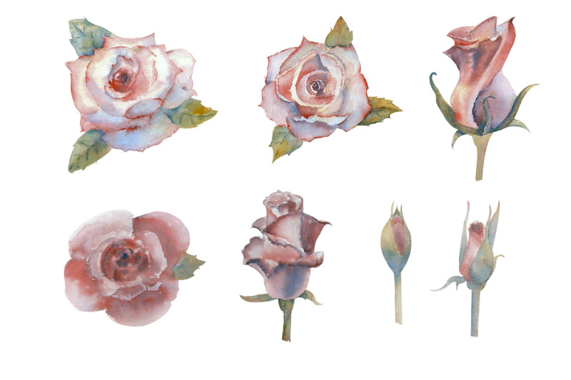 pink-rose-watercolor-set-of-flowers-leaves-and-berries