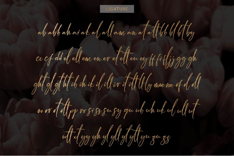 arandalle-script-font