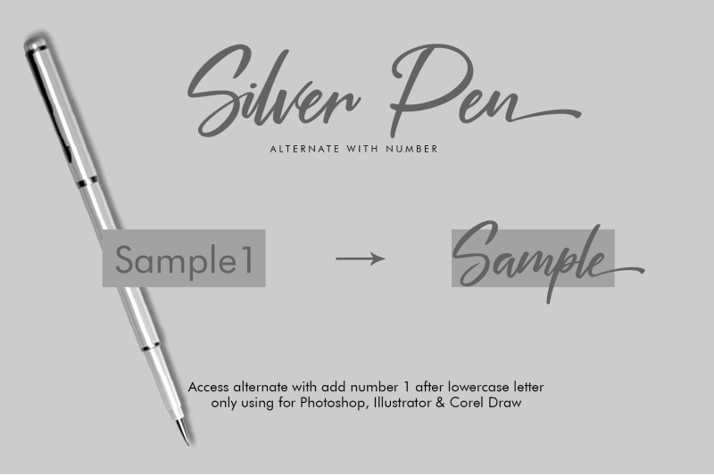 silver-pen-script