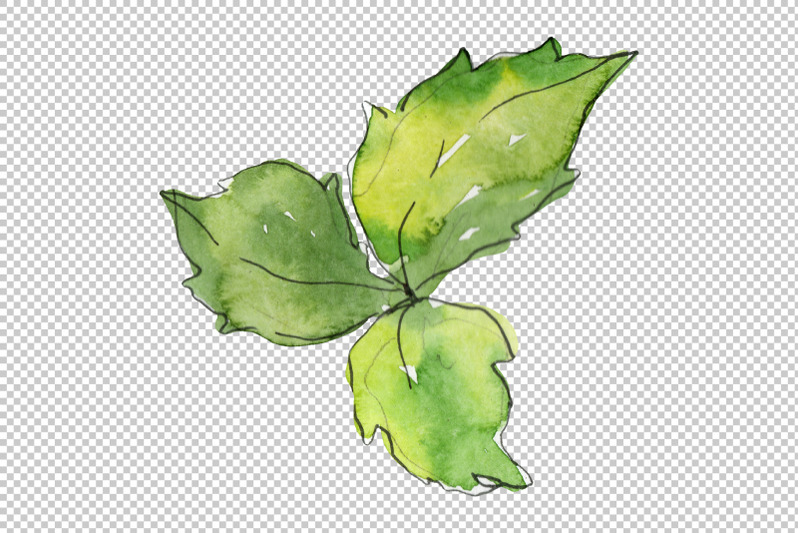 pizza-vegetable-watercolor-png