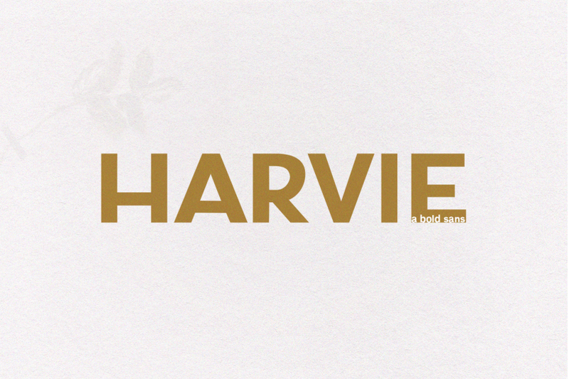 harvie-a-bold-sans-font