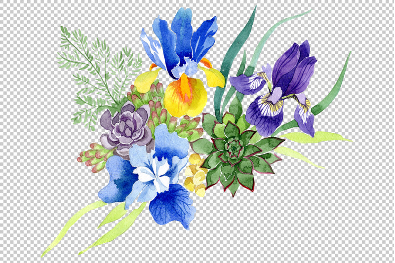 bouquet-with-blue-irises-watercolor-png