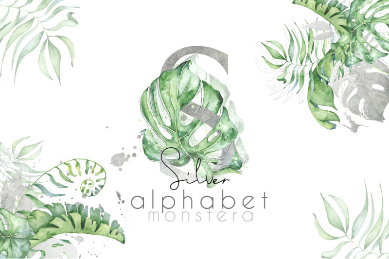 silver-monstera-tropical-leaves-alphabet