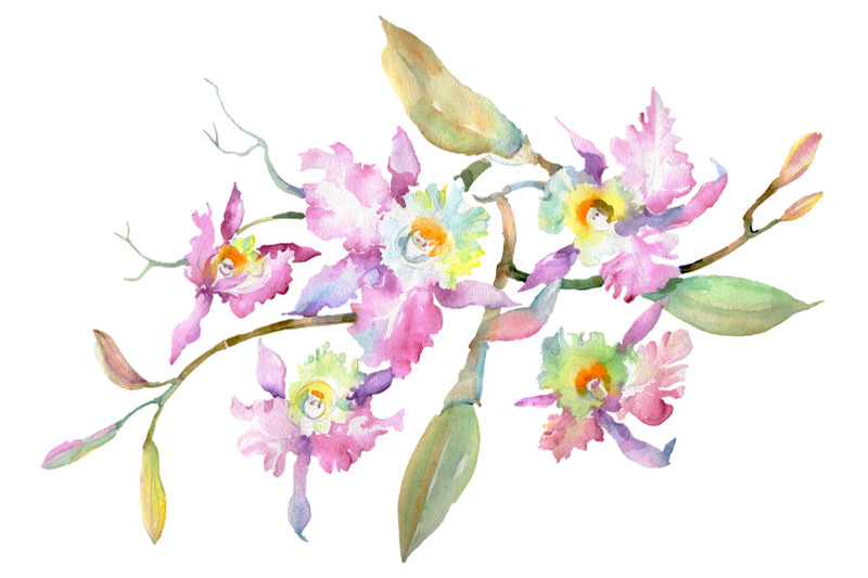 branch-of-pink-orchids-watercolor-png