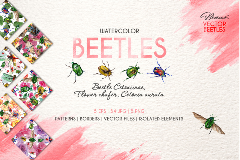 beetle-cetoniinae-flower-watercolor-png