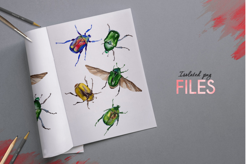 beetle-cetoniinae-flower-watercolor-png