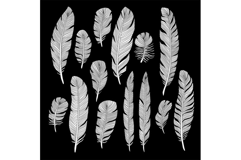 sketch-hand-drawn-birds-feathers-vector-set