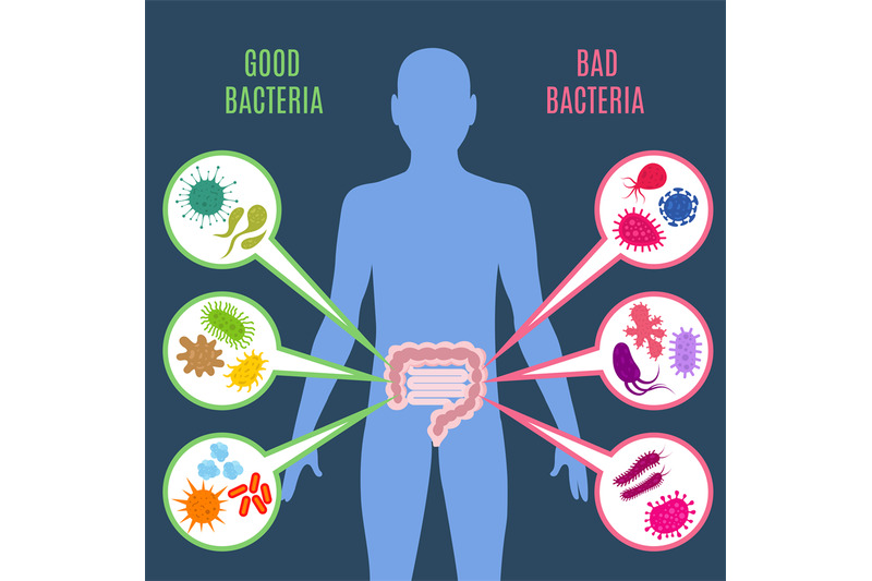 intestinal-flora-gut-health-vector-concept-with-bacteria-and-probiotic