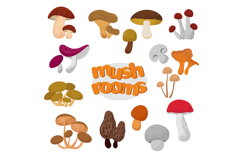 forest-summer-and-autumn-cartoon-edible-mushrooms-vector-set