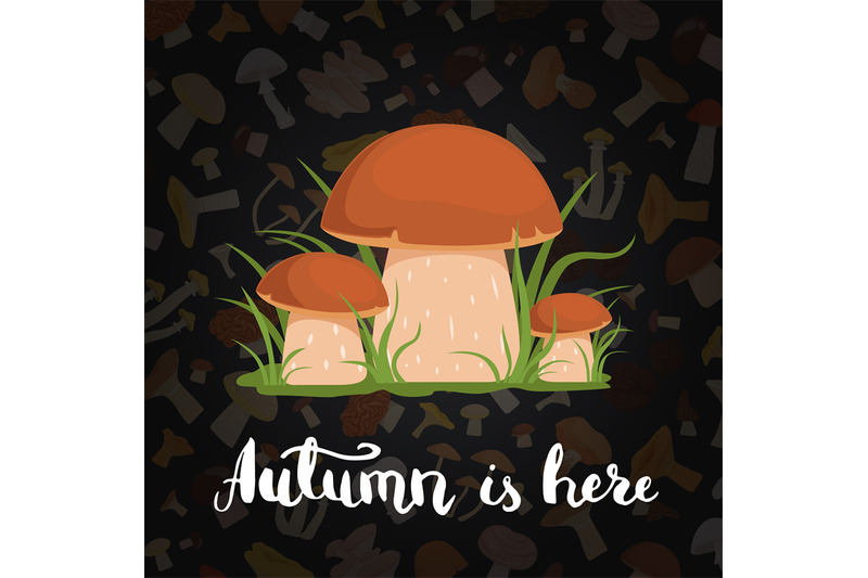 vector-background-with-cartoon-mushrooms-and-lettering