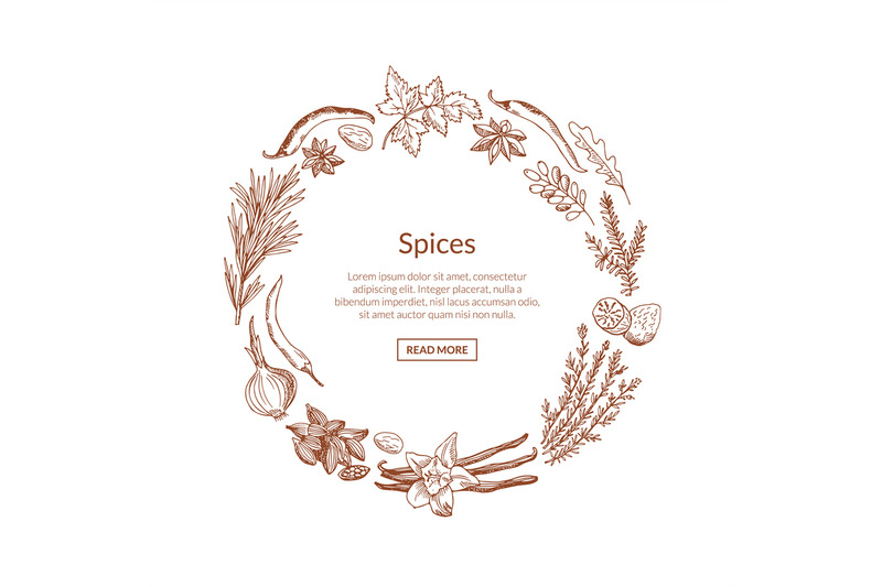 vector-hand-drawn-herbs-and-spices
