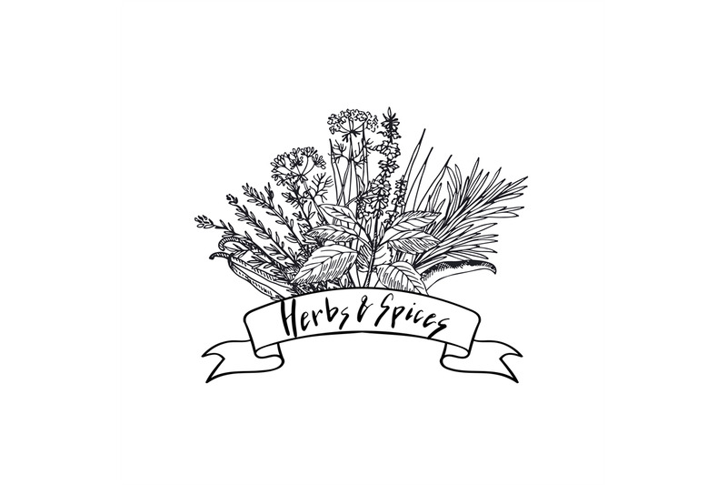 vector-hand-drawn-herbs-and-spices-in-bouquet