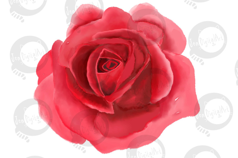 6-digital-watercolor-roses-clip-art-illustrations-png-jpeg