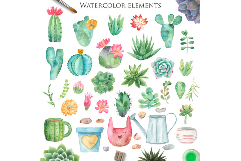 succulents-and-cacti-watercolor-collection