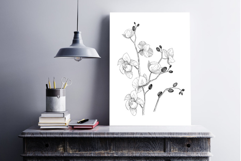 branch-of-orchids-vector-watercolor-clipart