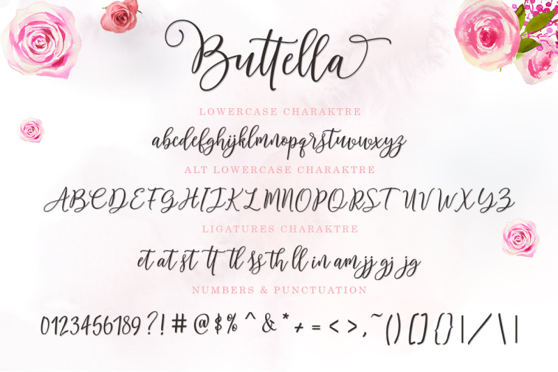 Buttella Script By Zane Studio Thehungryjpeg Com