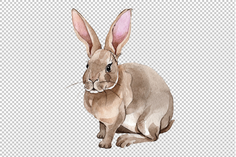 easter-bunny-watercolor-png