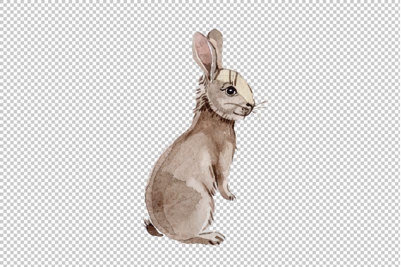 easter-bunny-watercolor-png