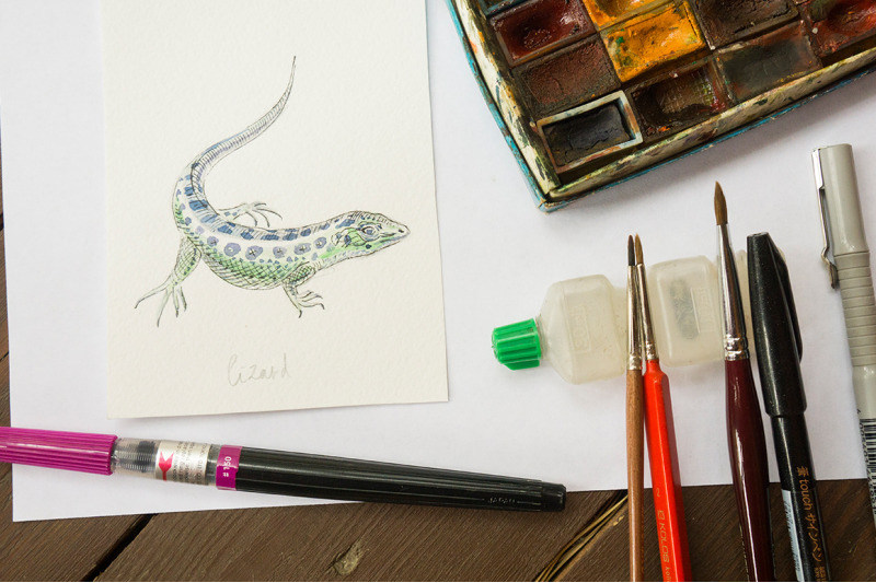 watercolor-zoo-animals-vector-set