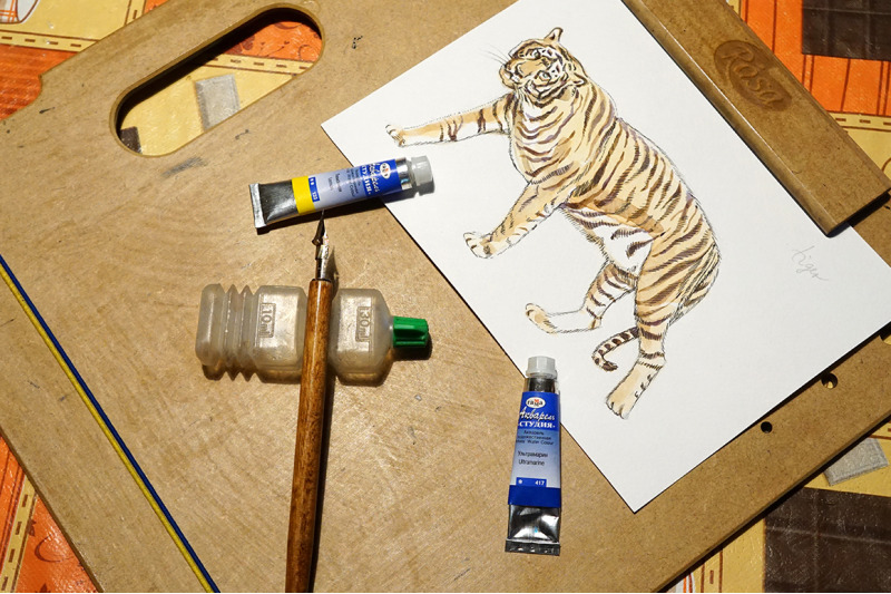 watercolor-zoo-animals-vector-set