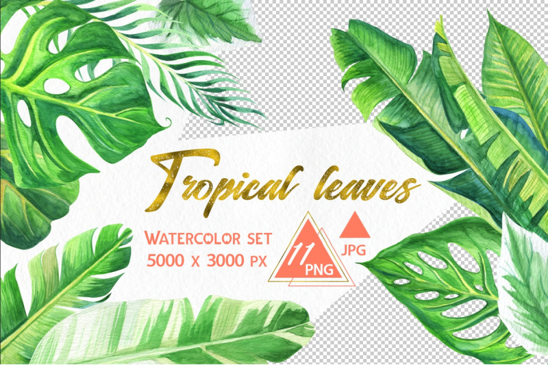 tropical-leaves