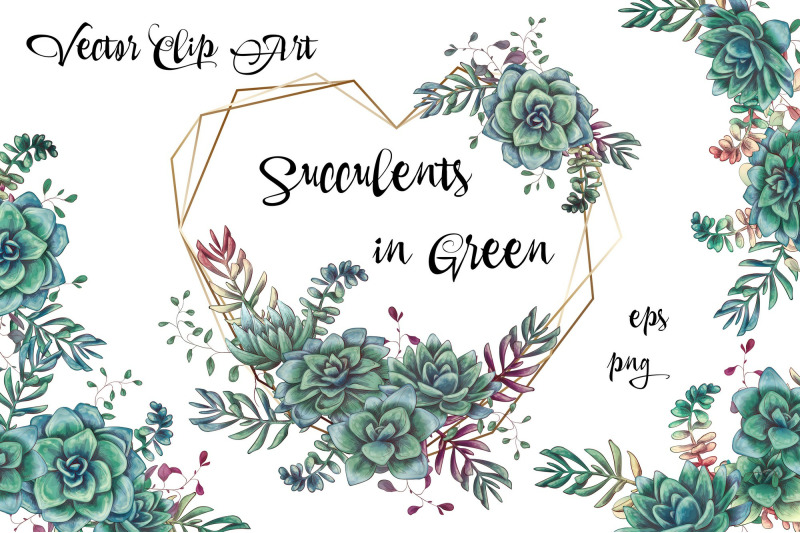 succulents-in-green