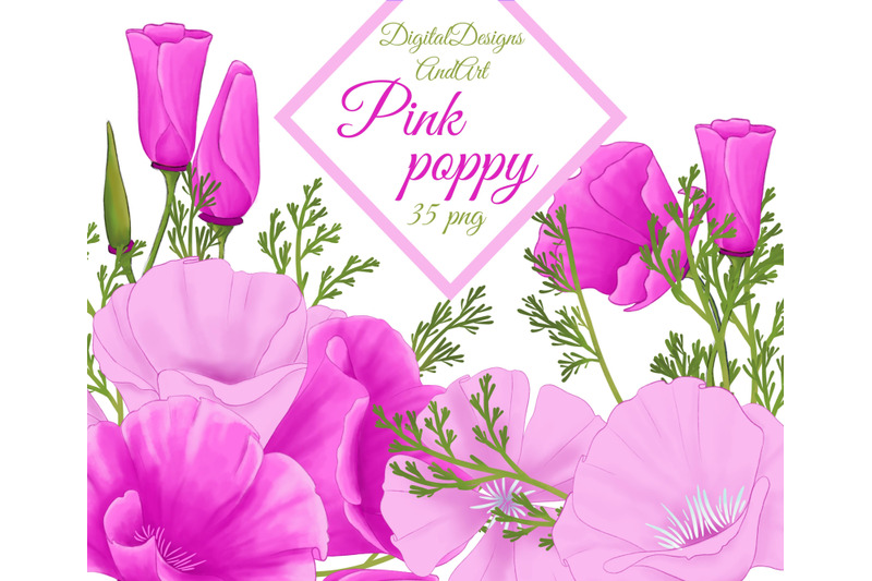 pink-poppy-clipart